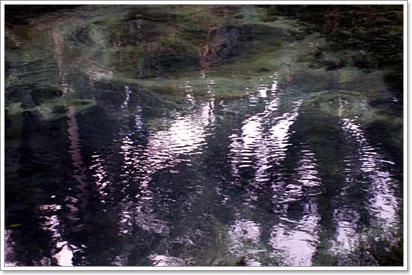 DSCF0685.JPG